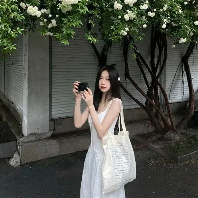 国产精品古籍编撰传世《青史编撰》全集 - 执笔编撰千古青史